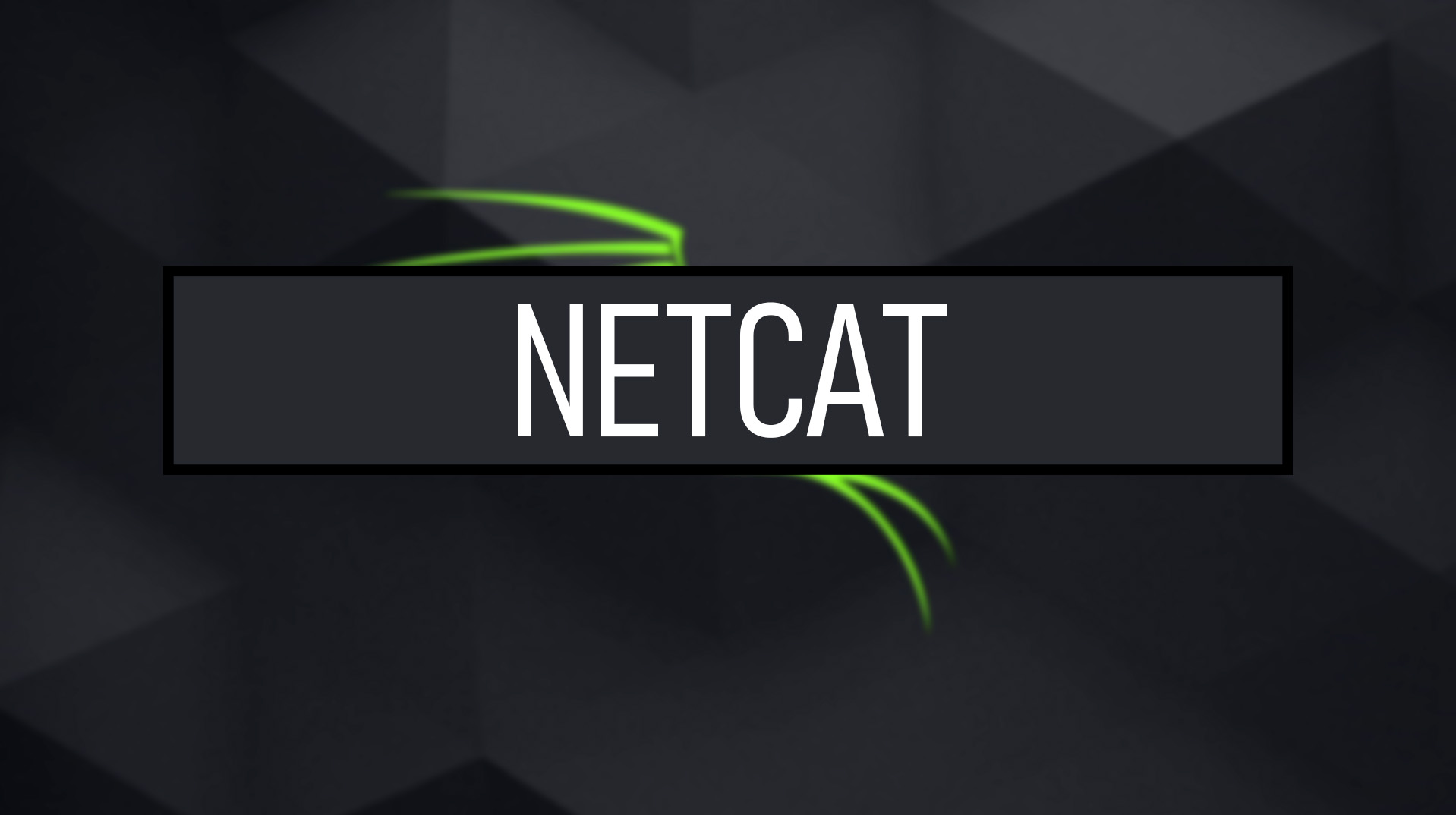 NETCAT