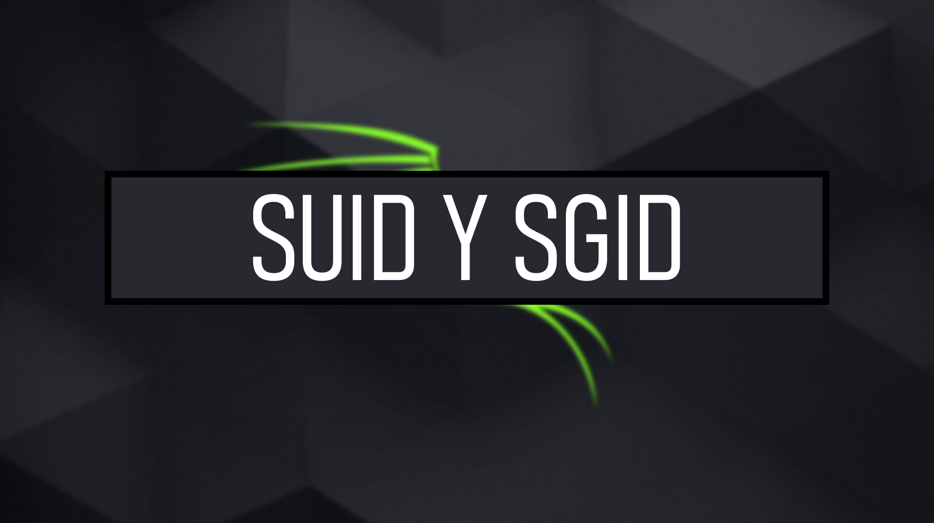 SUID y SGID